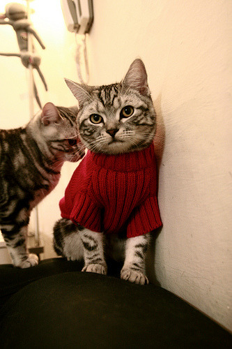 fb体育官网入口-EDG战队教练组调整计划，edg教练组换人了吗