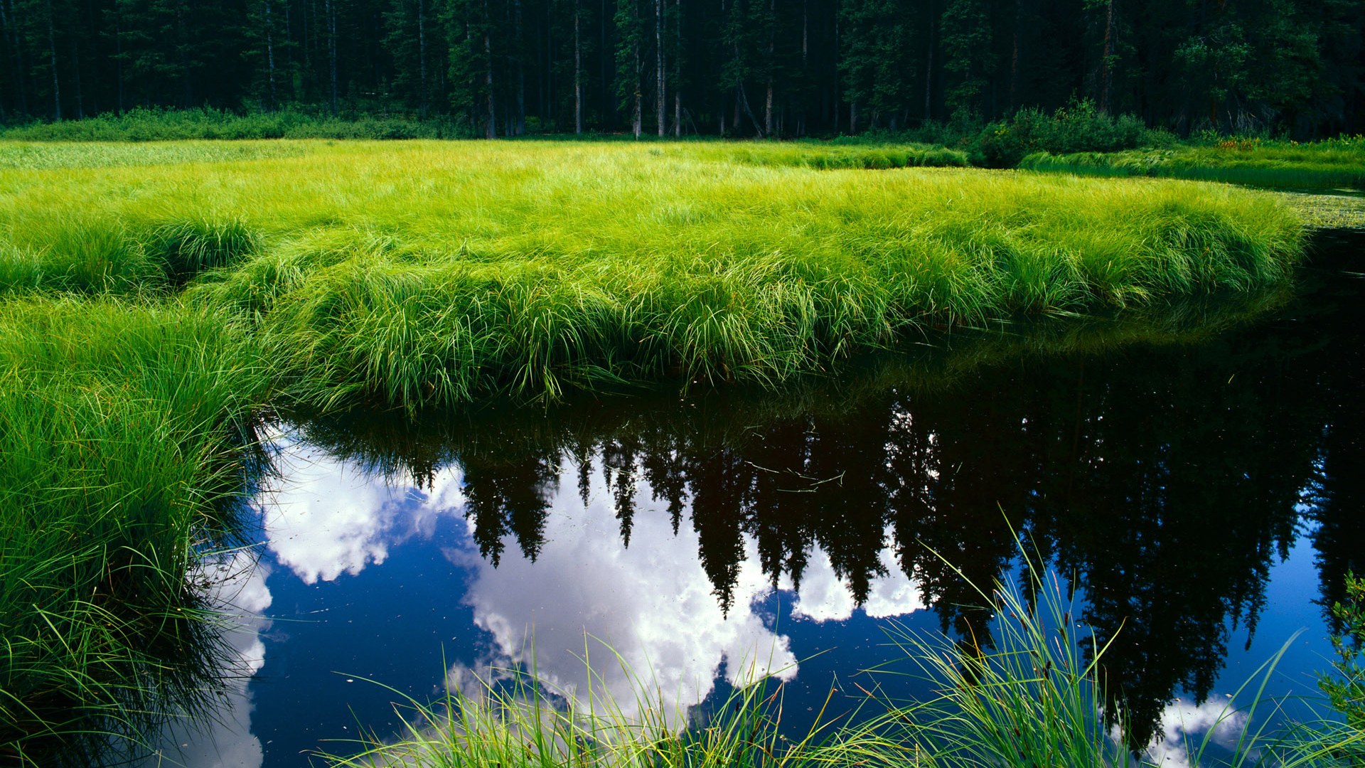 fb体育电竞-EDG战队数据统计领先全联盟，edg战队最好成绩