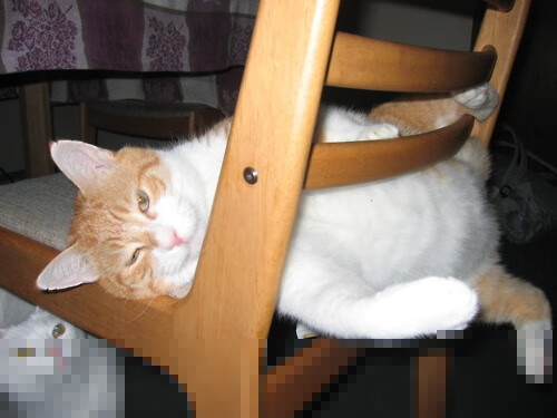 fb体育中国官网-各路豪强在赛场上搏杀，展现出强大竞技实力，各路豪杰是什么意思