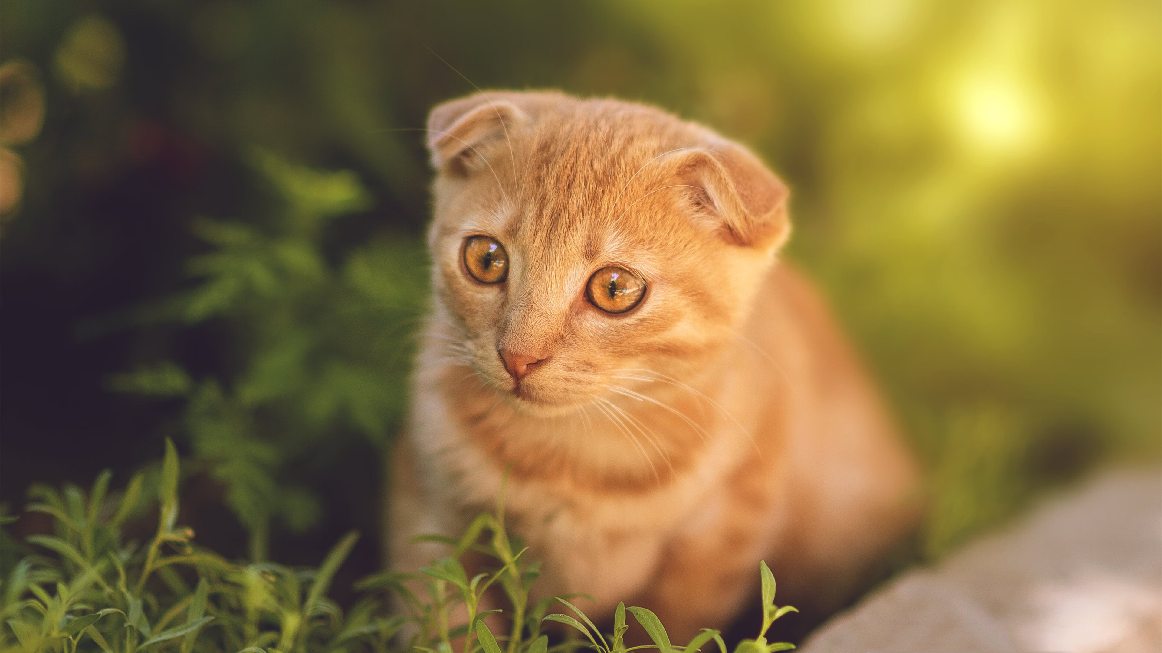 fb体育注册网址-柏林赫塔全队备战，雄心勃勃期待接下来的比赛，柏林赫塔比赛视频聚胜顽球汇