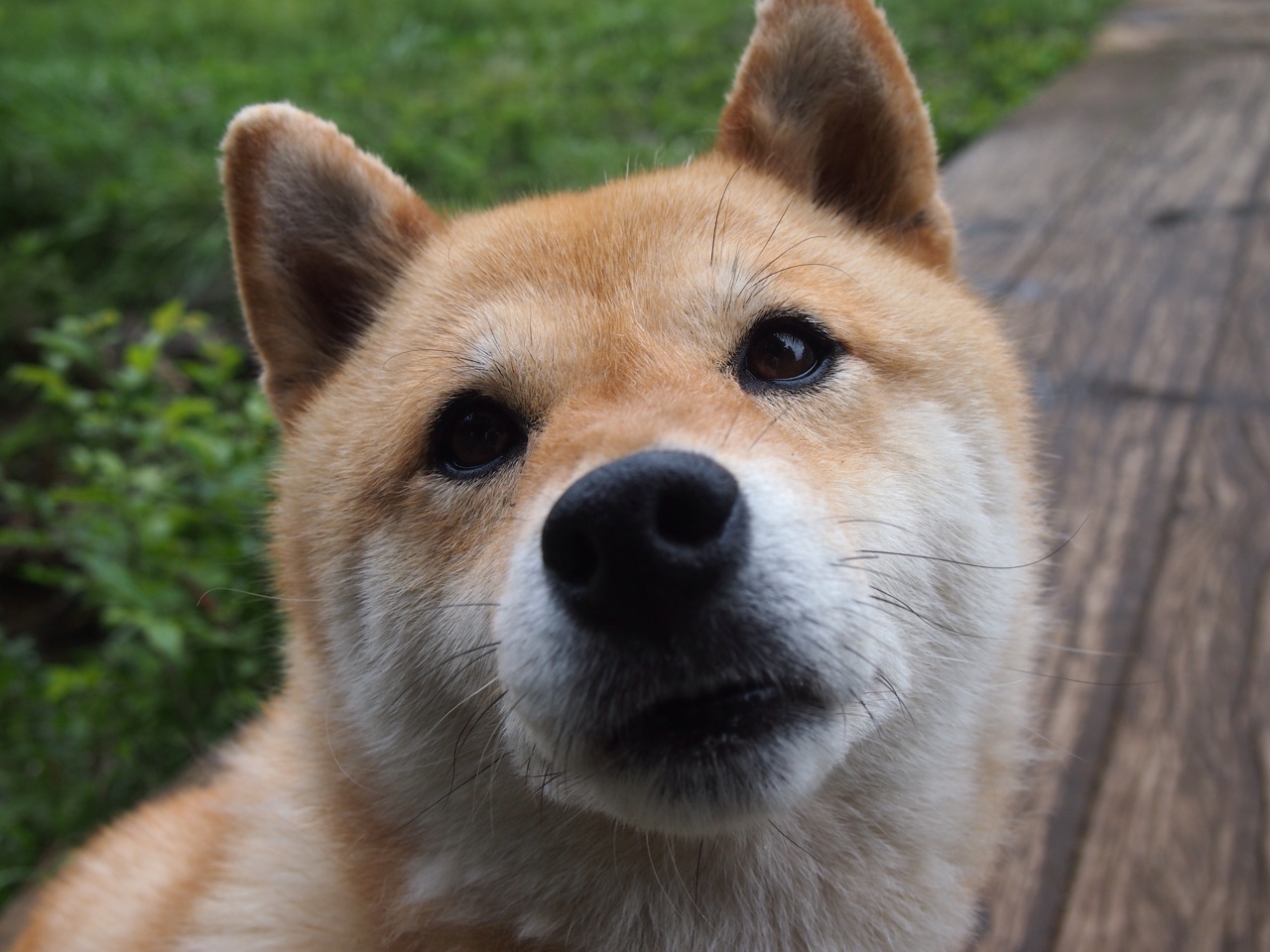 fb体育官网入口-阿尔阿赫利主帅谈战术调整，力求突破，阿尔阿赫利什么意思