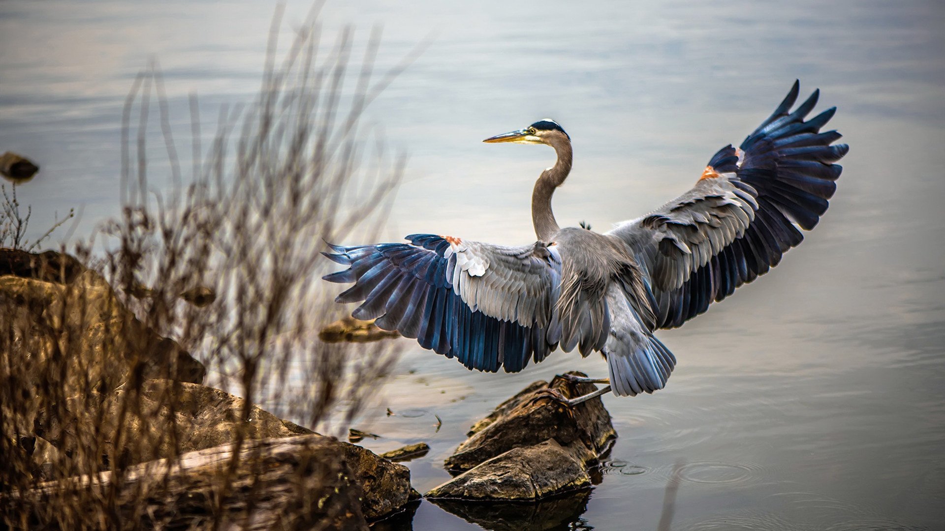 FB体育官方平台-顶尖球队争夺荣誉，胜者将成为赛场王者，顶级球队