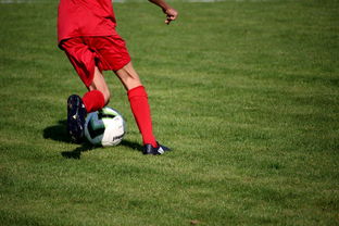 fb体育首页-中国篮球俱乐部青训体系绩效评估方法，篮球俱乐部青训营