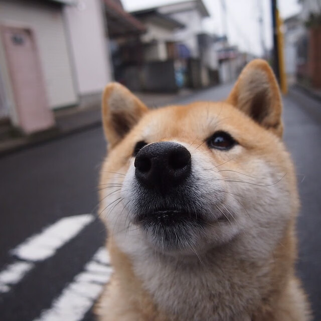 fb体育中国官网-西甲闪耀全场：攻防精彩瞬间引爆现场！，西甲攻略