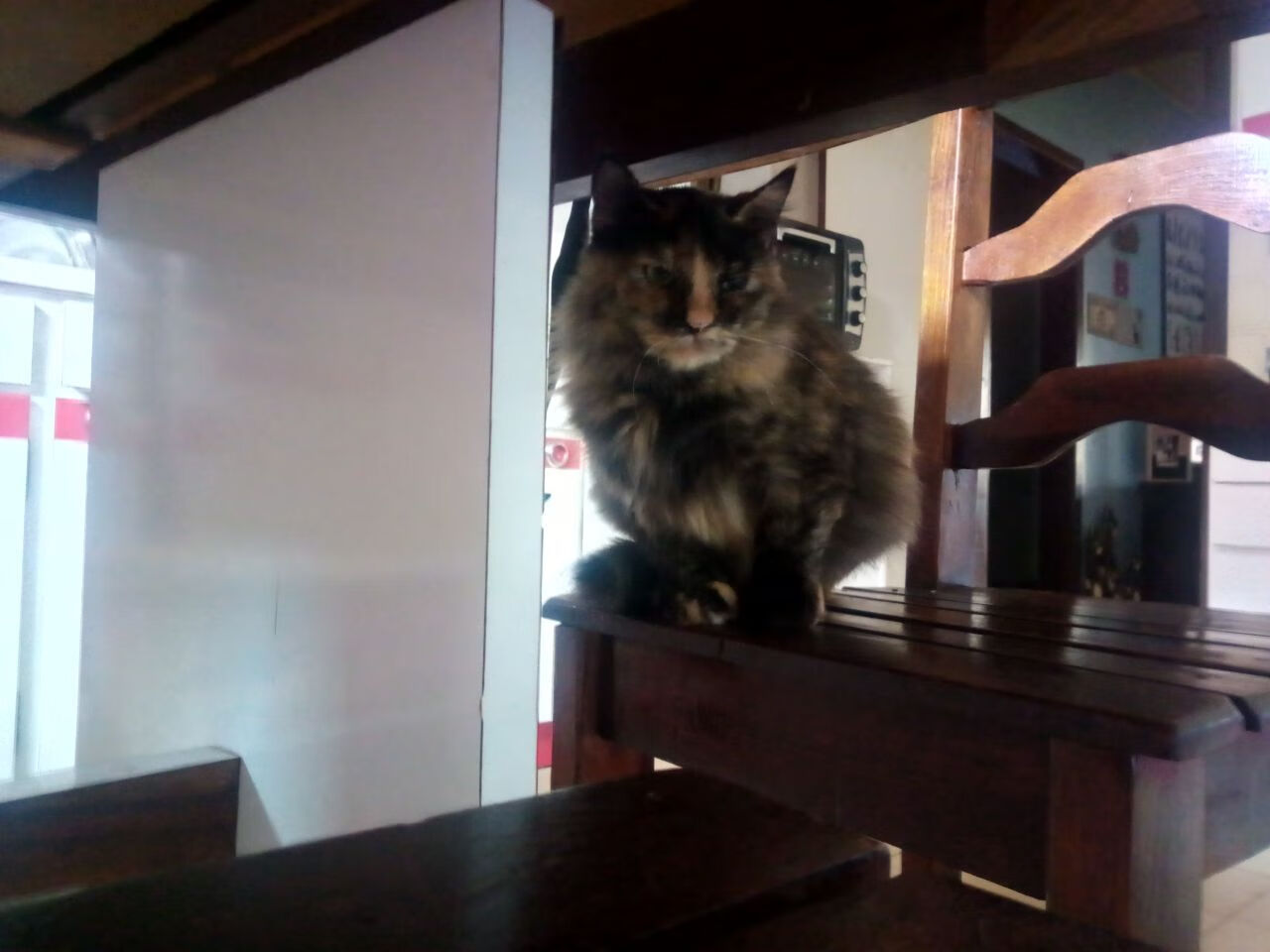 青训项目扩展至北部地区，青训项目扩展至北部地区的措施